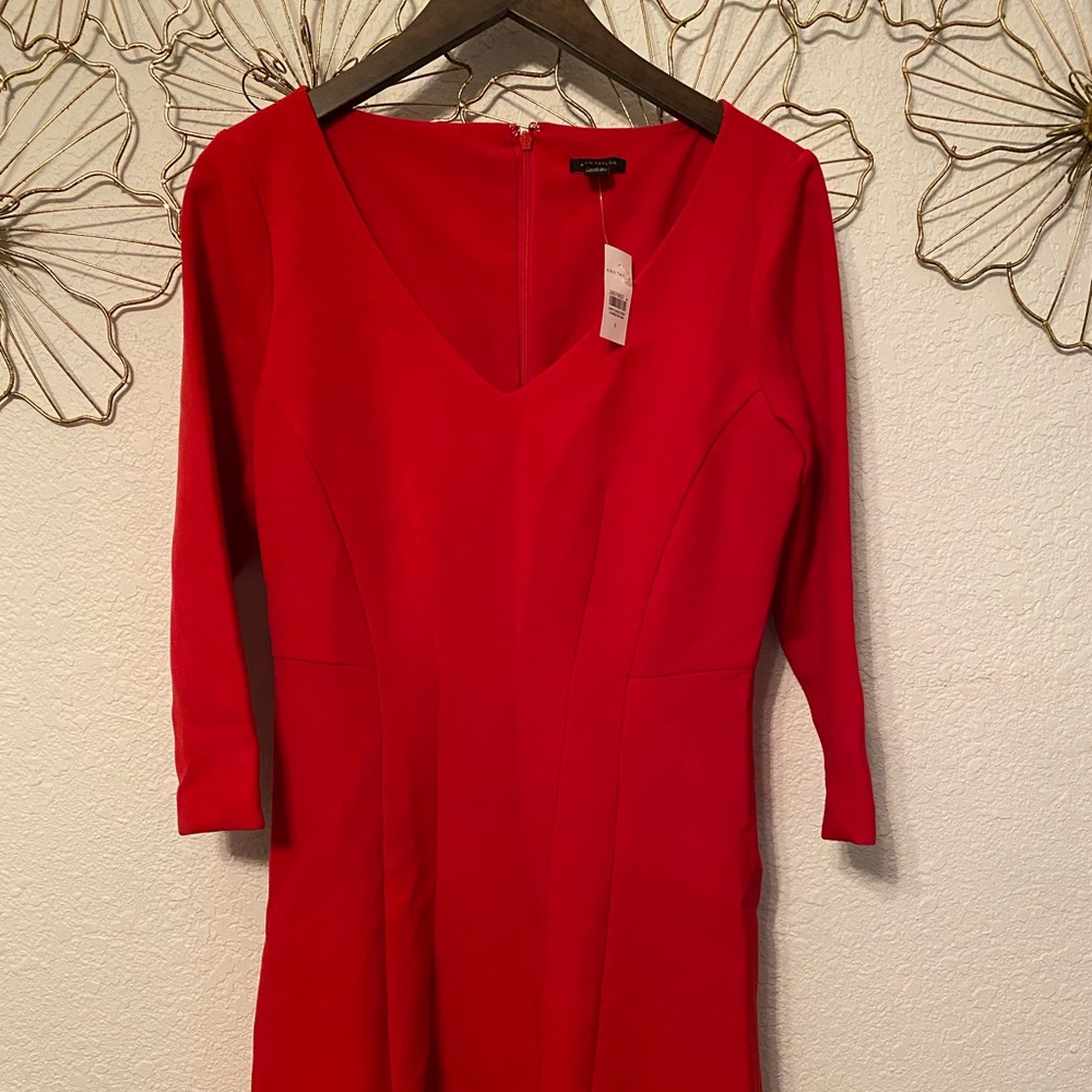 Nwt Ann Taylor above the knee dress size 4
